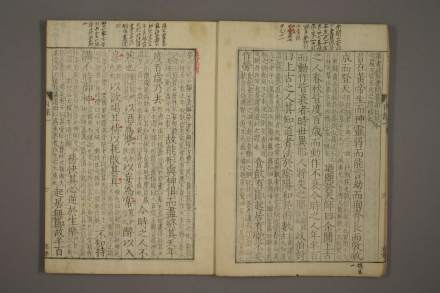 日本早稻田大学藏的黄帝内经素问