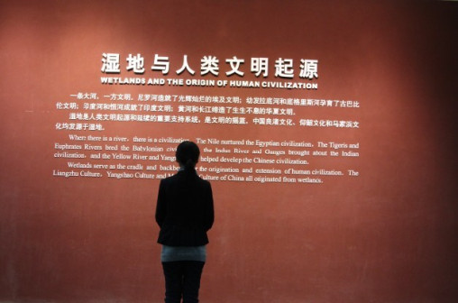 湿地与人类厅