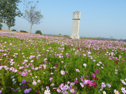 跃龙岗
