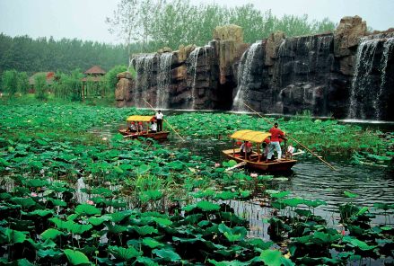 微山湖湿地红荷风景区