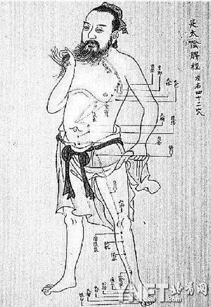 人体经络