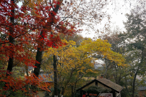 栖霞山景色