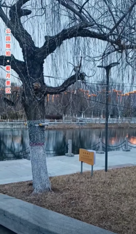 戴月景区