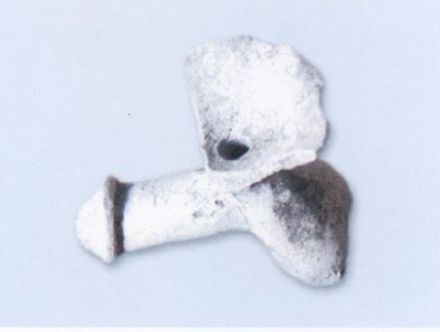 隆化土城子城址出土祖形器