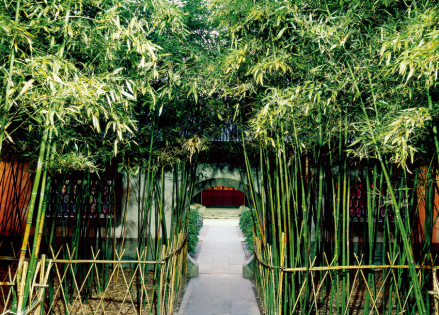 竹子院