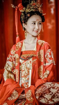 《大唐荣耀》慕容林致