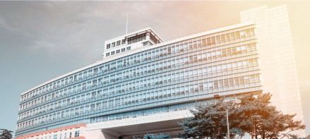 弘益大学