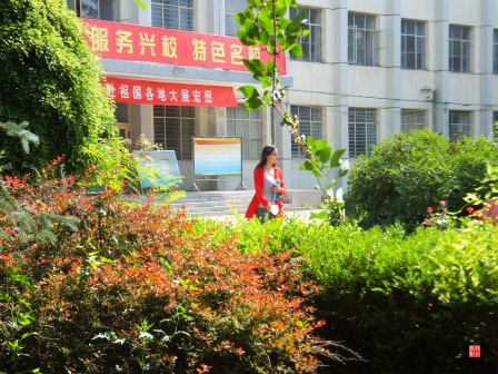 宁夏师范大学老校区校园掠影