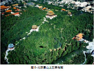 北京景山上五亭鸟瞰