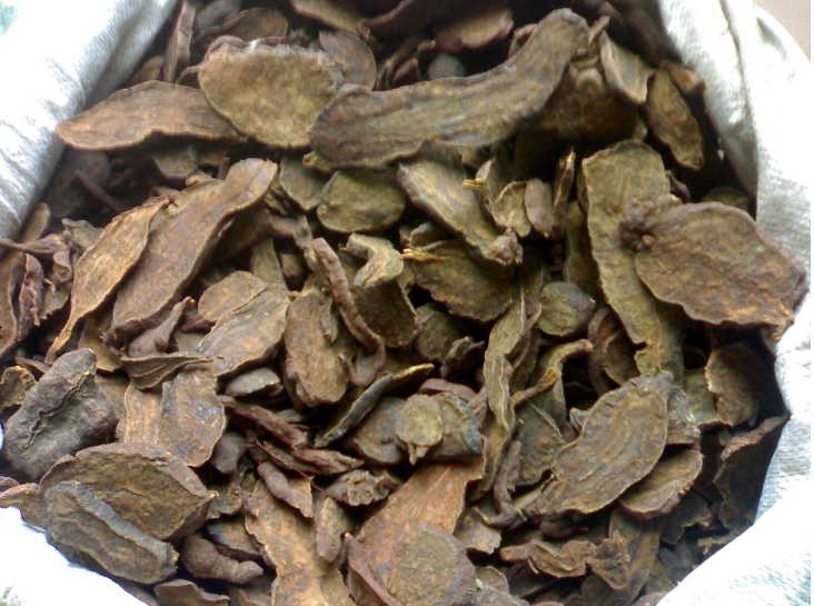 中药材——何首乌