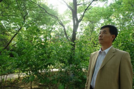 高宏军