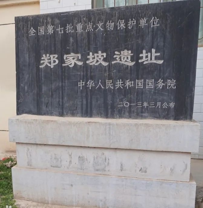 郑家坡遗址