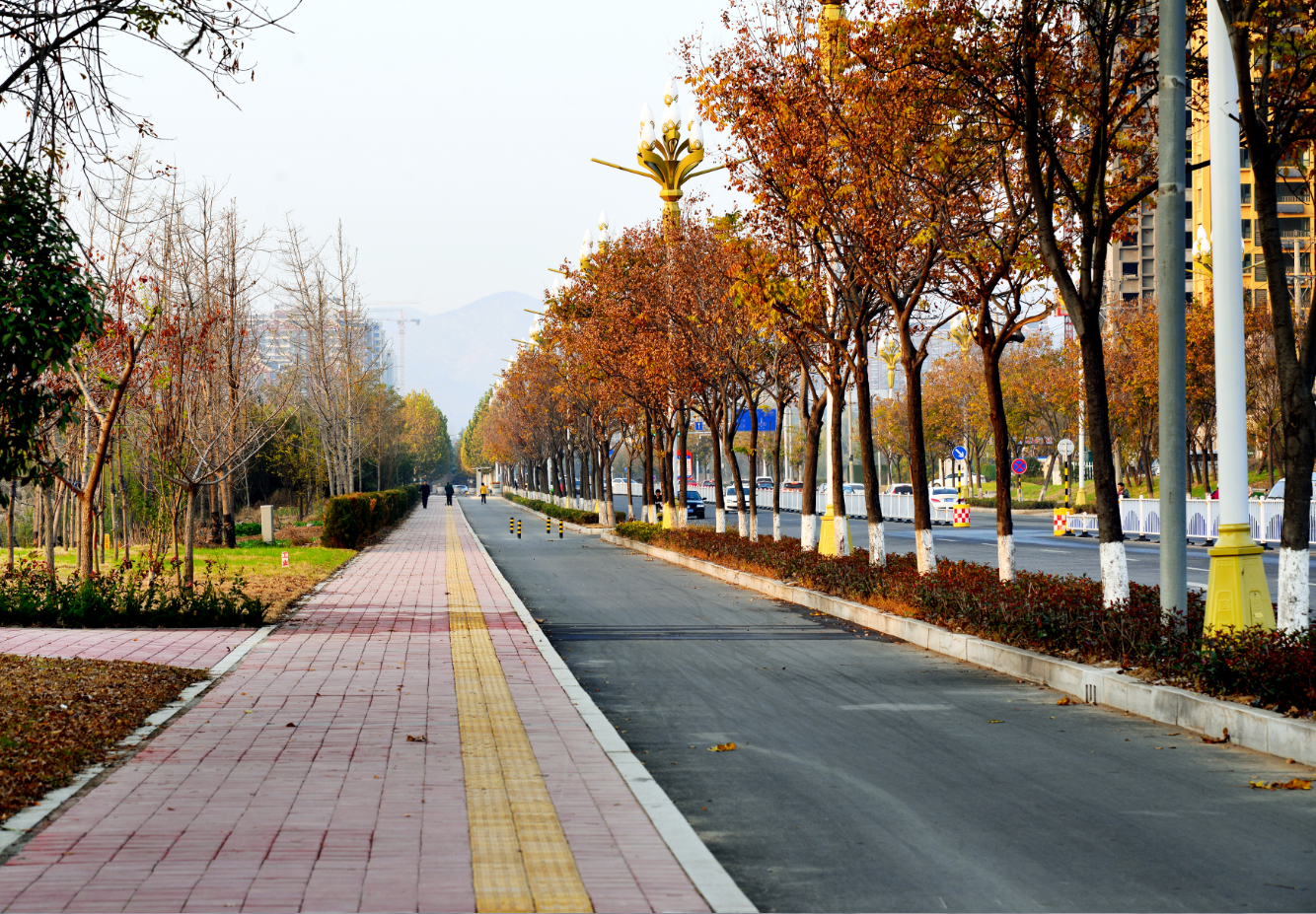 隆山路风光