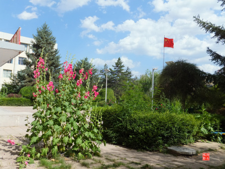 宁夏师范大学老校区校园掠影