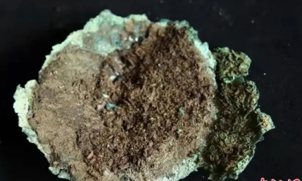 故如甲木墓地出土茶叶遗存