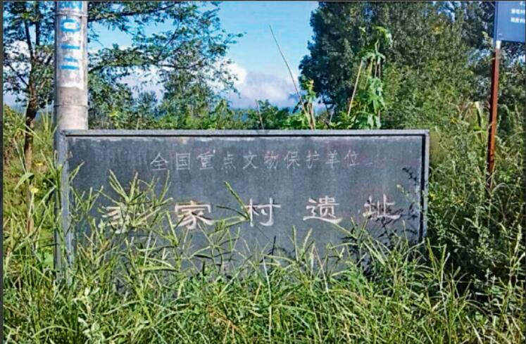 李家村遗址