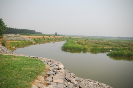 沁河河南沁阳市马铺村畸形河势 