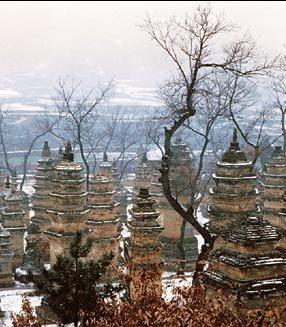 造于金正隆二年(1157年)的西堂塔