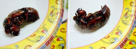 徐州奇菜-油炸金蝉