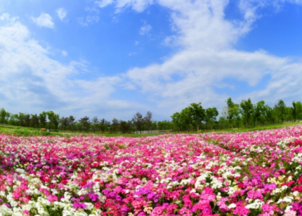 江苏三台山国家森林公园