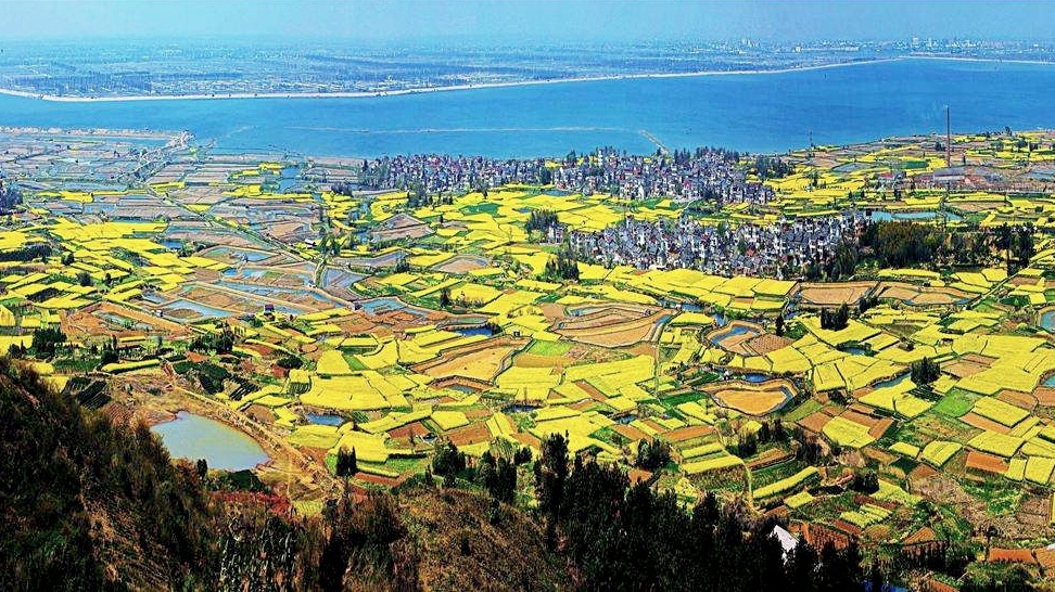 固城湖东南部高淳区湖面