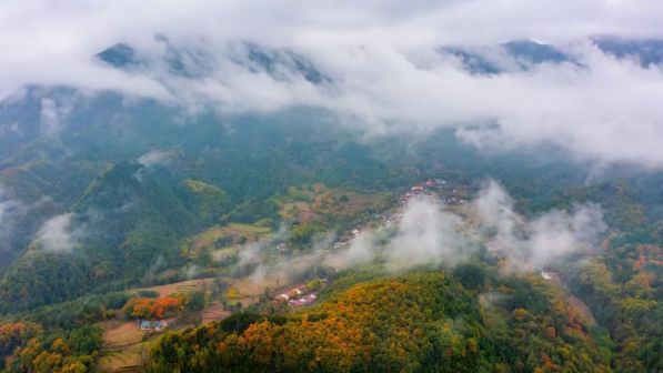 陕西黎坪国家森林公园景色