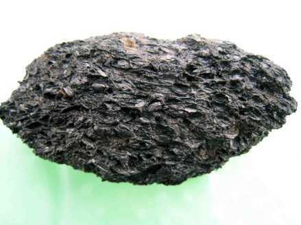 遗址出土炭化稻