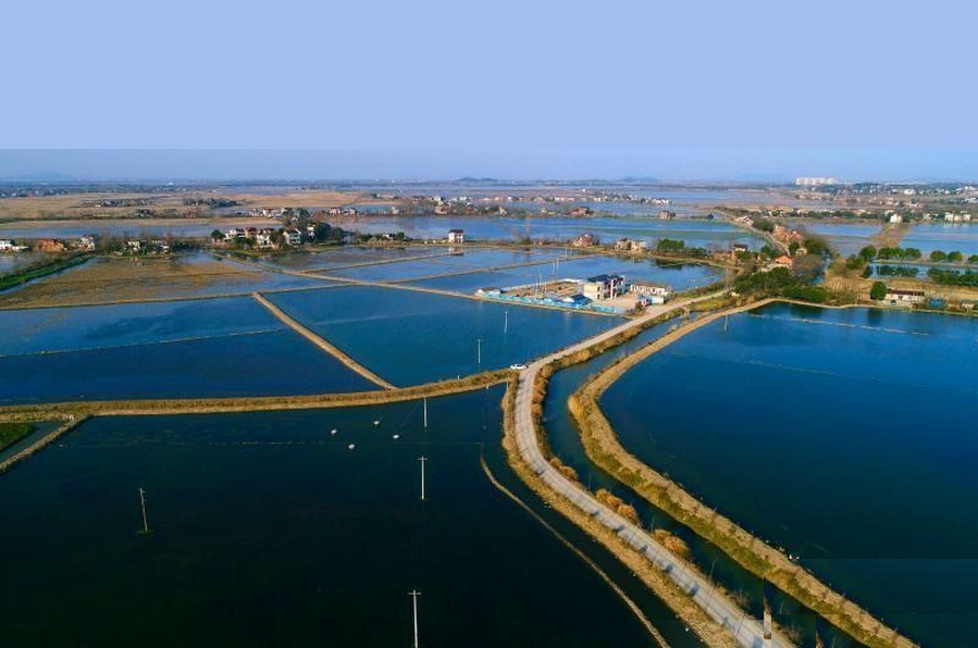 庐江县龙桥镇黄陂湖区