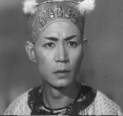 司马华龙
