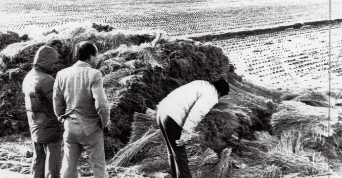1987年，韩国警方在华城黄溪里的案发现场查看 
