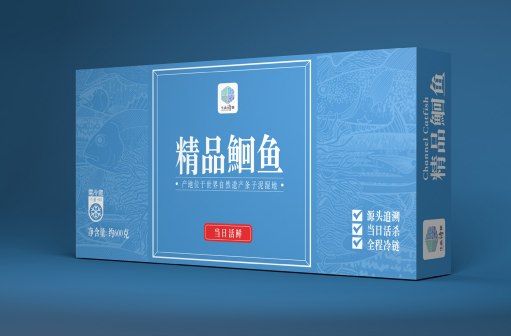 精品鮰鱼