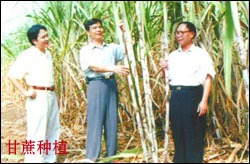 江州区
