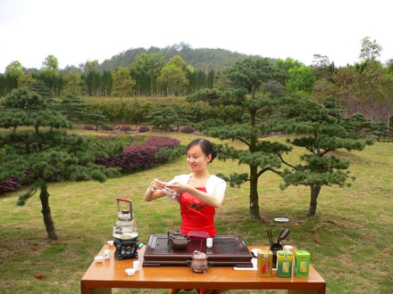 谢茶