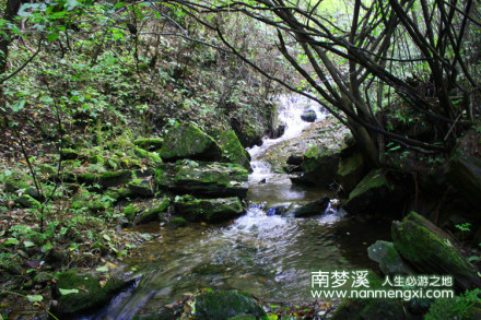 森林 瀑布 风景 山水 溪水 古树 南梦溪