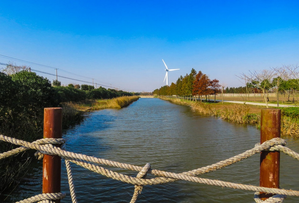东端东滩湿地公园一带地形
