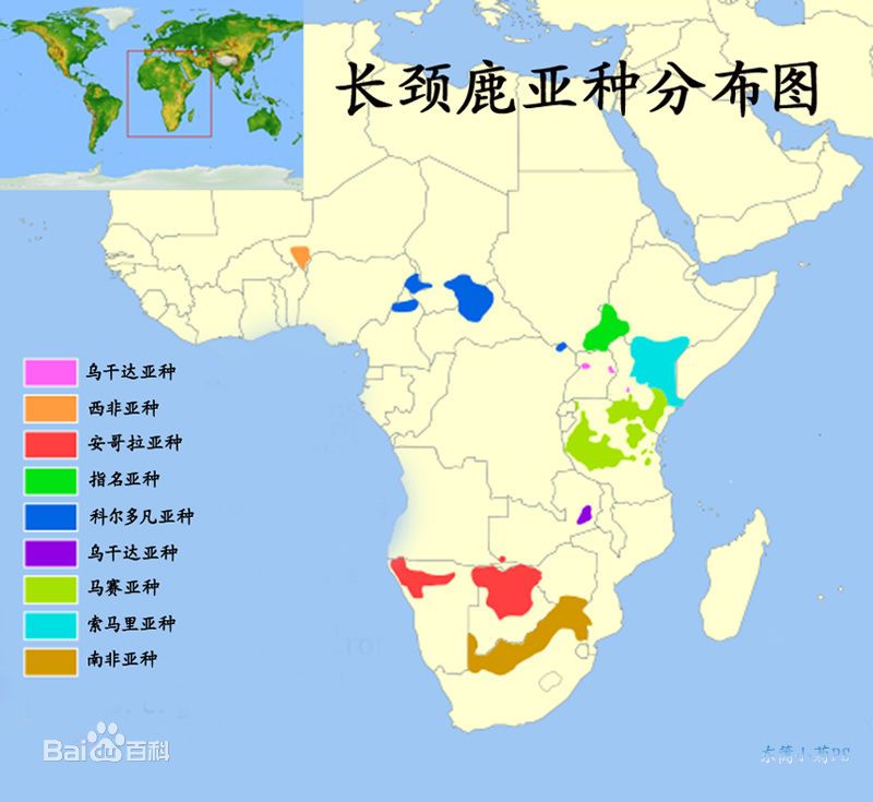 长颈鹿亚种分布图