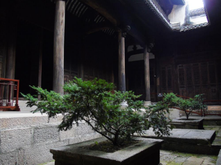 后天井