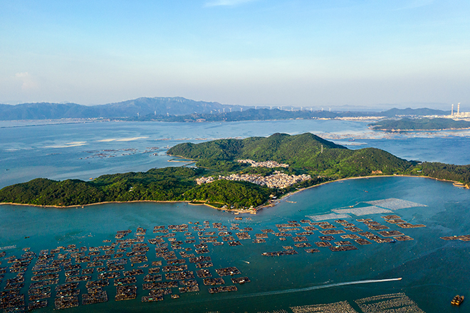 饶平县