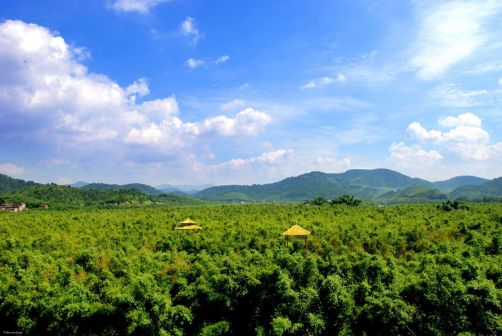 广宁风光
