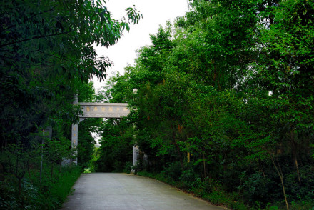 狮子岭