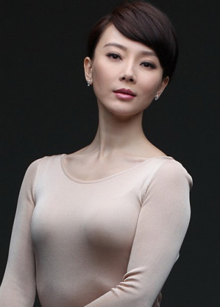 搭档 陈数
