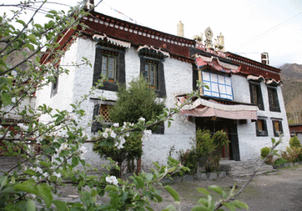 提吉寺 