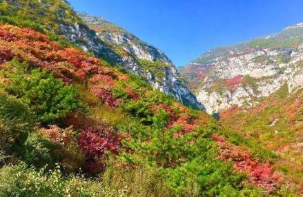 崛围山