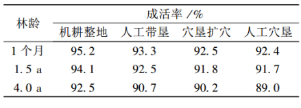 表1 整地对桉树成活率的影响