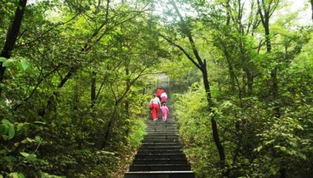鹤伴山