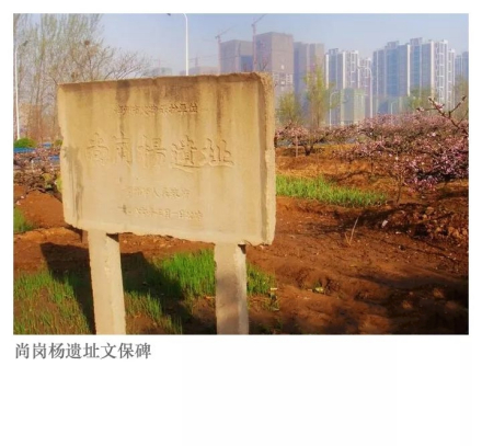 尚岗杨遗址保护碑