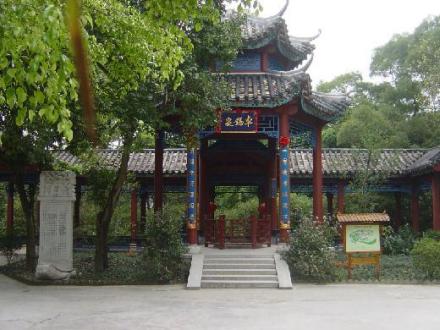 卓锡泉
