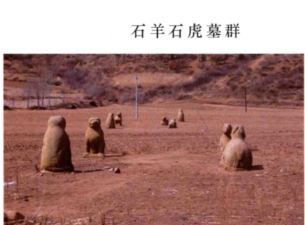 石羊石虎古墓群