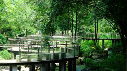 神丽峡景区