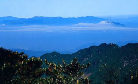 天目山